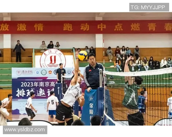 成都排球队的辉煌征程与冠军赛背后的奋斗故事